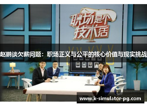 赵鹏谈欠薪问题：职场正义与公平的核心价值与现实挑战