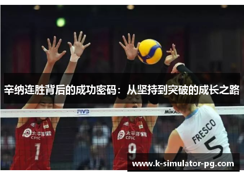 辛纳连胜背后的成功密码：从坚持到突破的成长之路